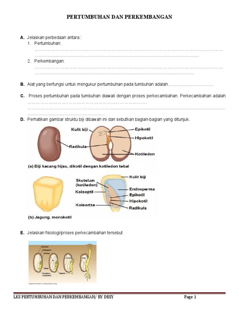 Detail Gambar Bab 1 Pertumbuhan Perkembangan Nomer 50