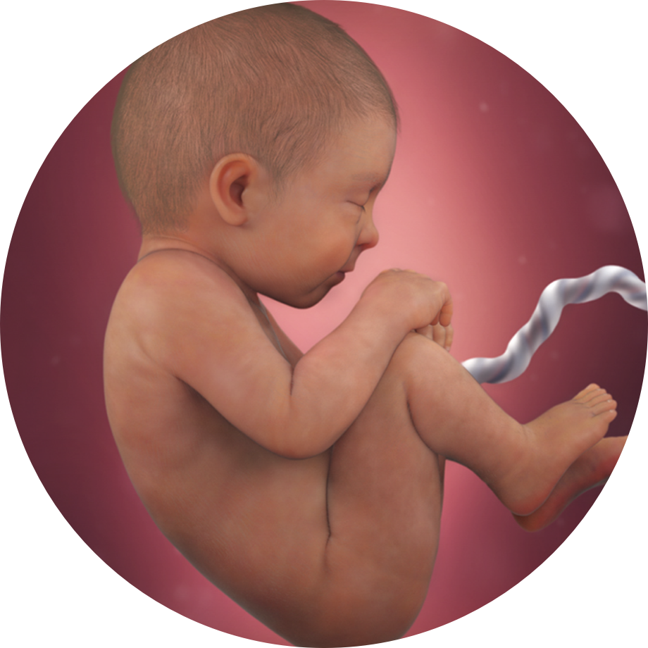 Detail Gambar Baby Nomer 15