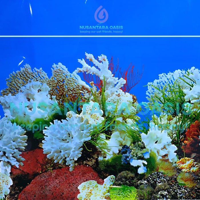 Detail Gambar Background Aquarium Nomer 16