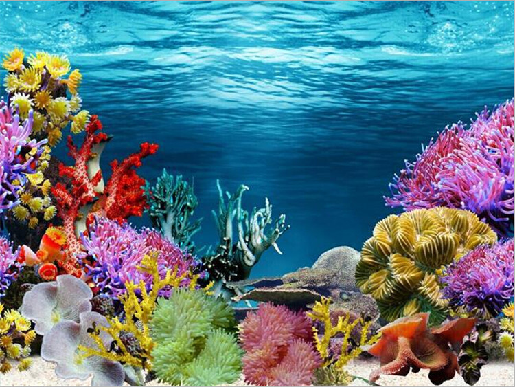 Detail Gambar Background Aquarium Nomer 28