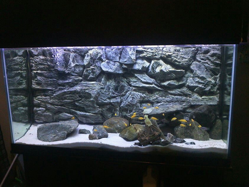 Detail Gambar Background Aquarium 3d Nomer 31