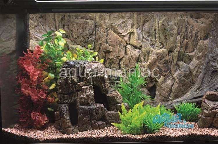 Detail Gambar Background Aquarium 3d Nomer 42