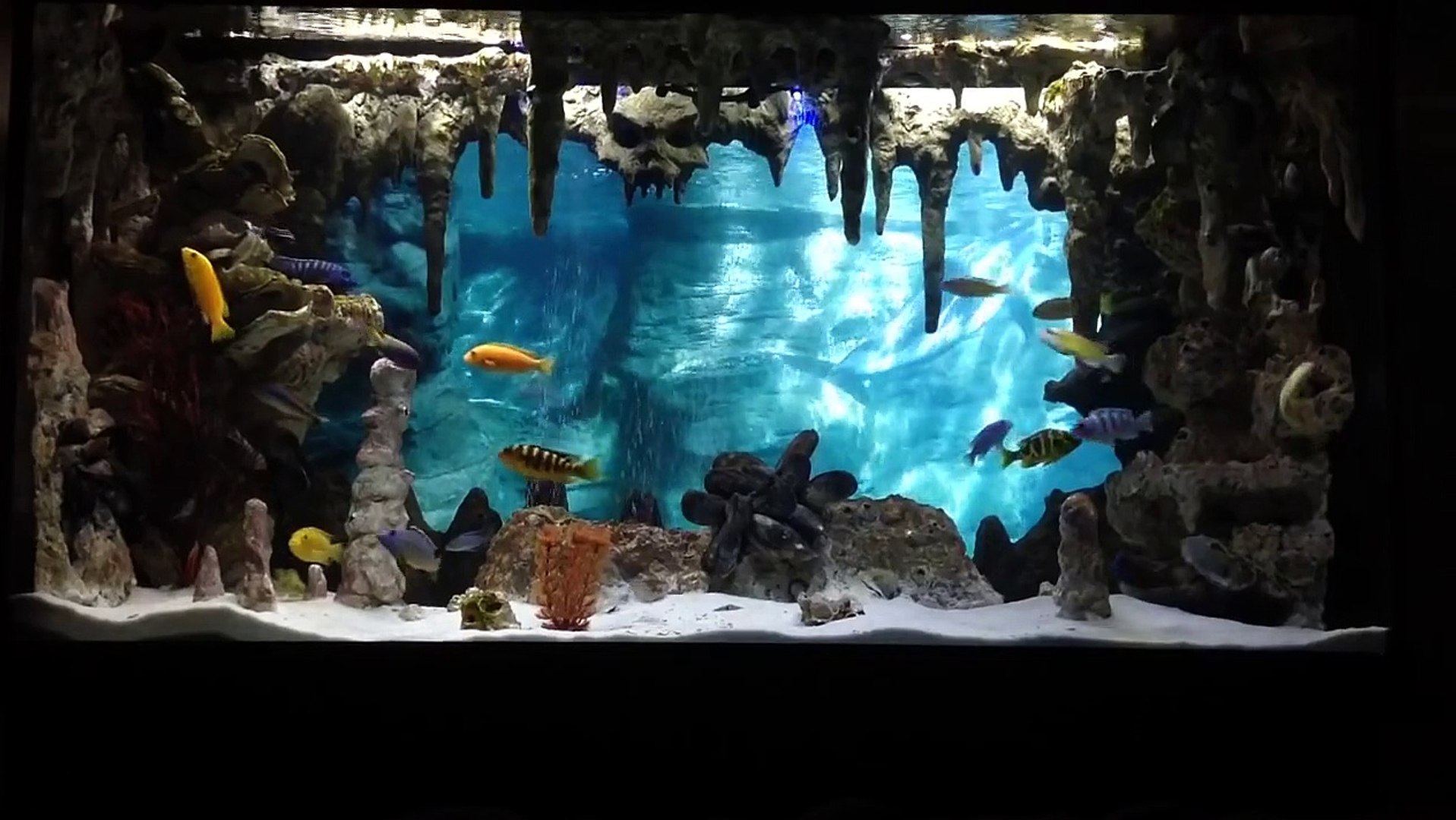 Detail Gambar Background Aquarium 3d Nomer 53