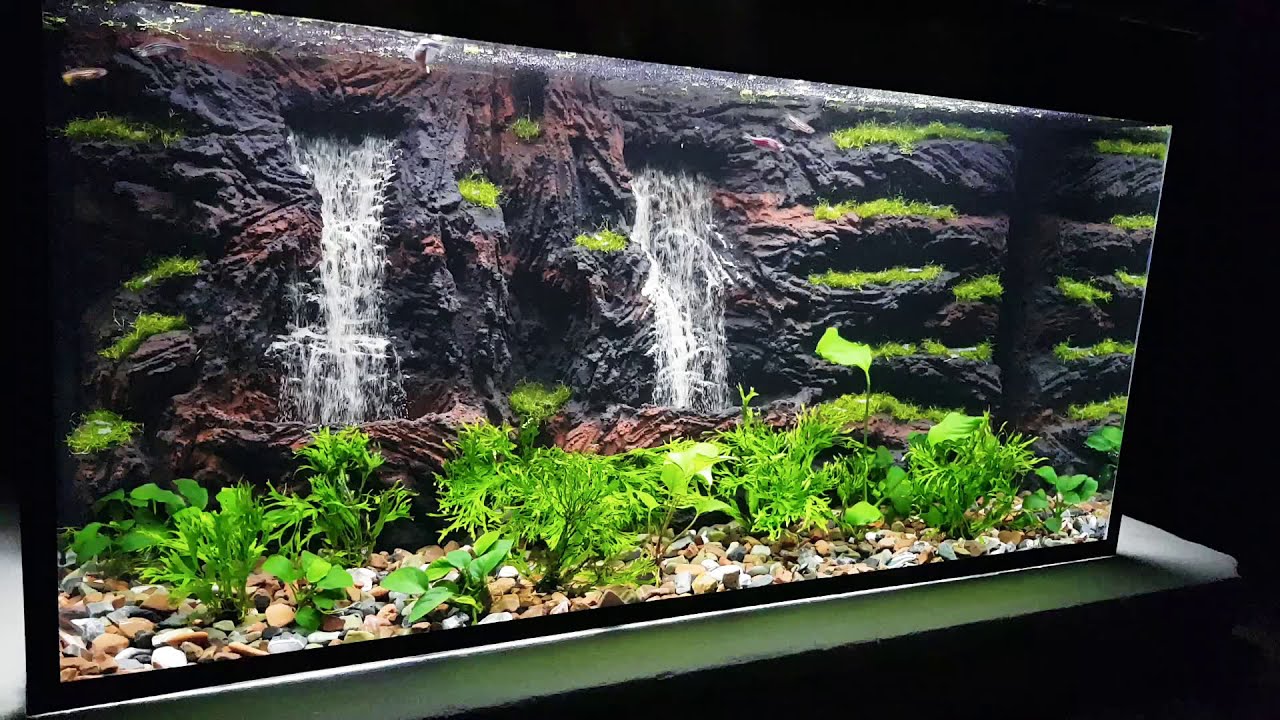 Detail Gambar Background Aquarium 3d Nomer 7