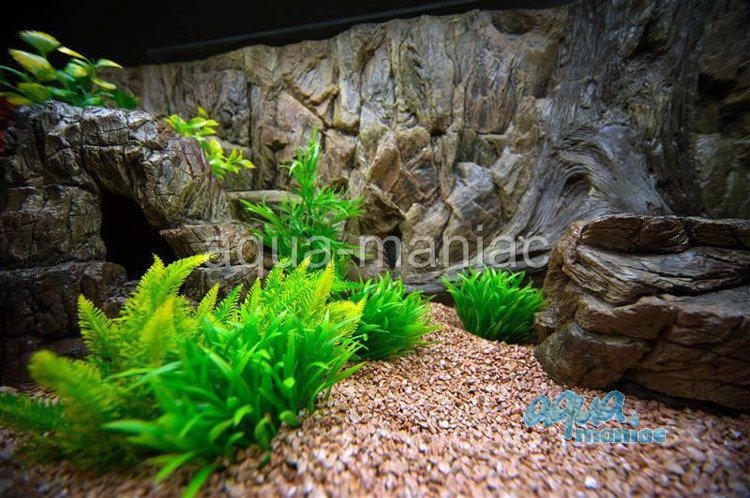 Detail Gambar Background Aquarium 3d Nomer 8