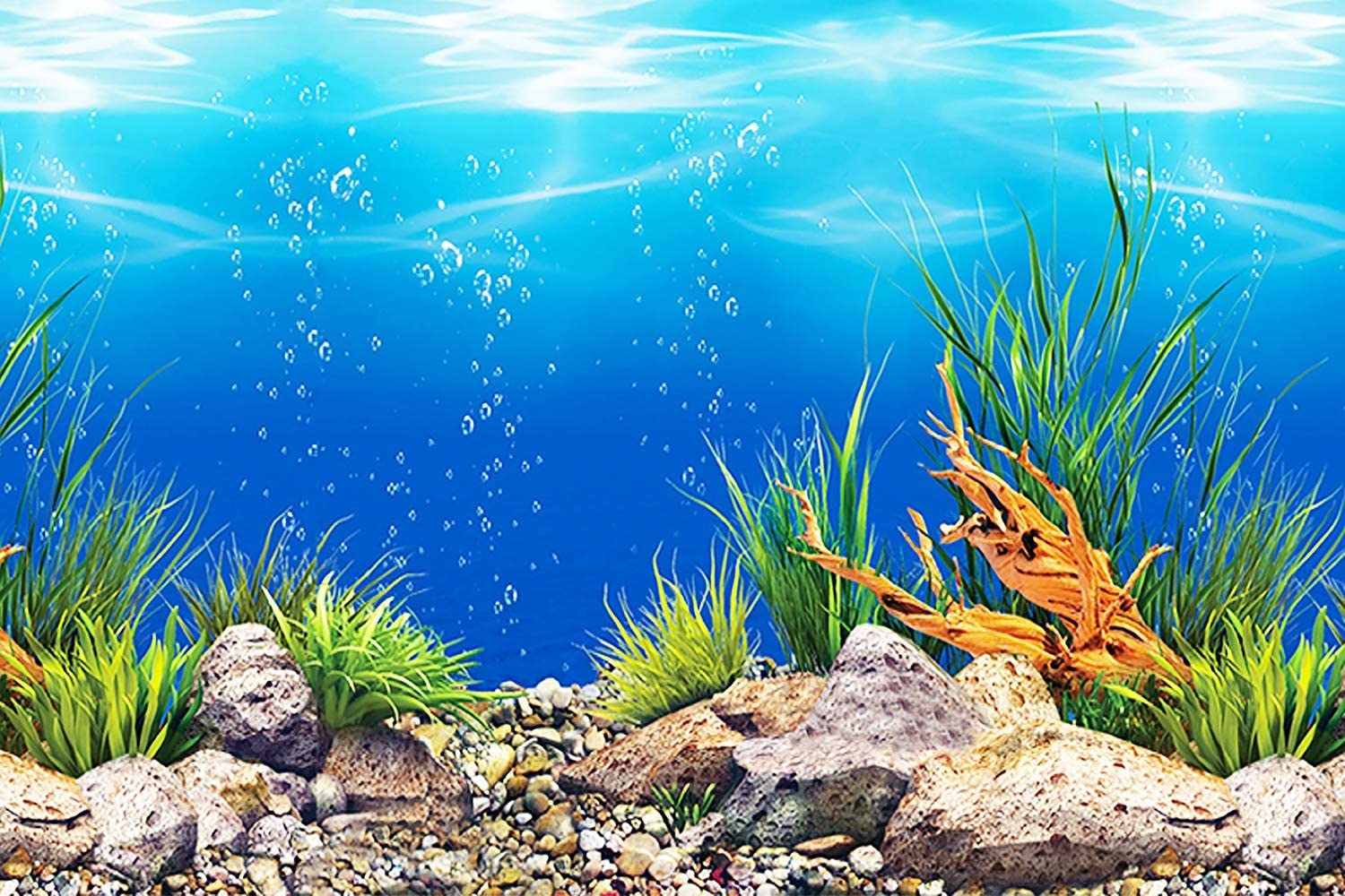 Detail Gambar Background Aquarium Nomer 5