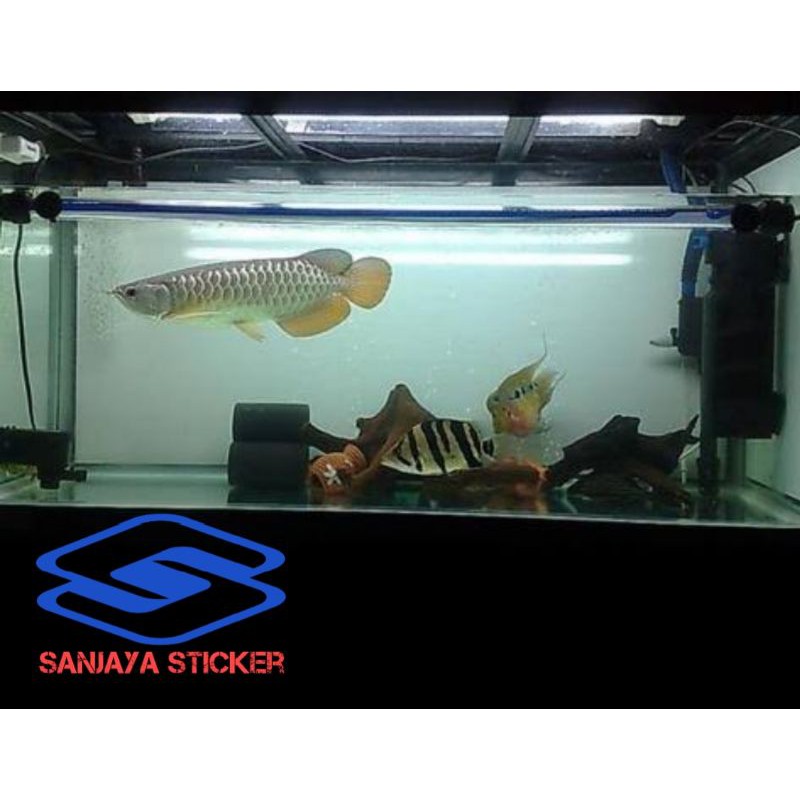 Detail Gambar Background Aquarium Nomer 51