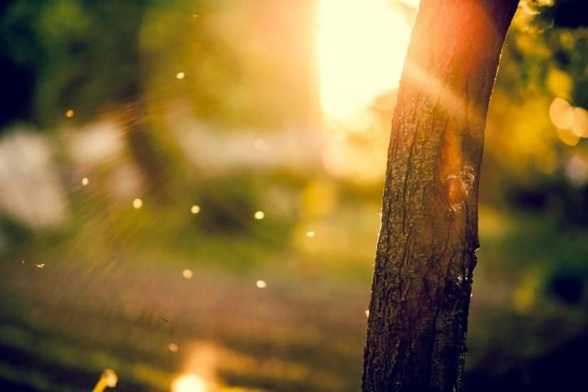 Detail Gambar Background Blur Nomer 15