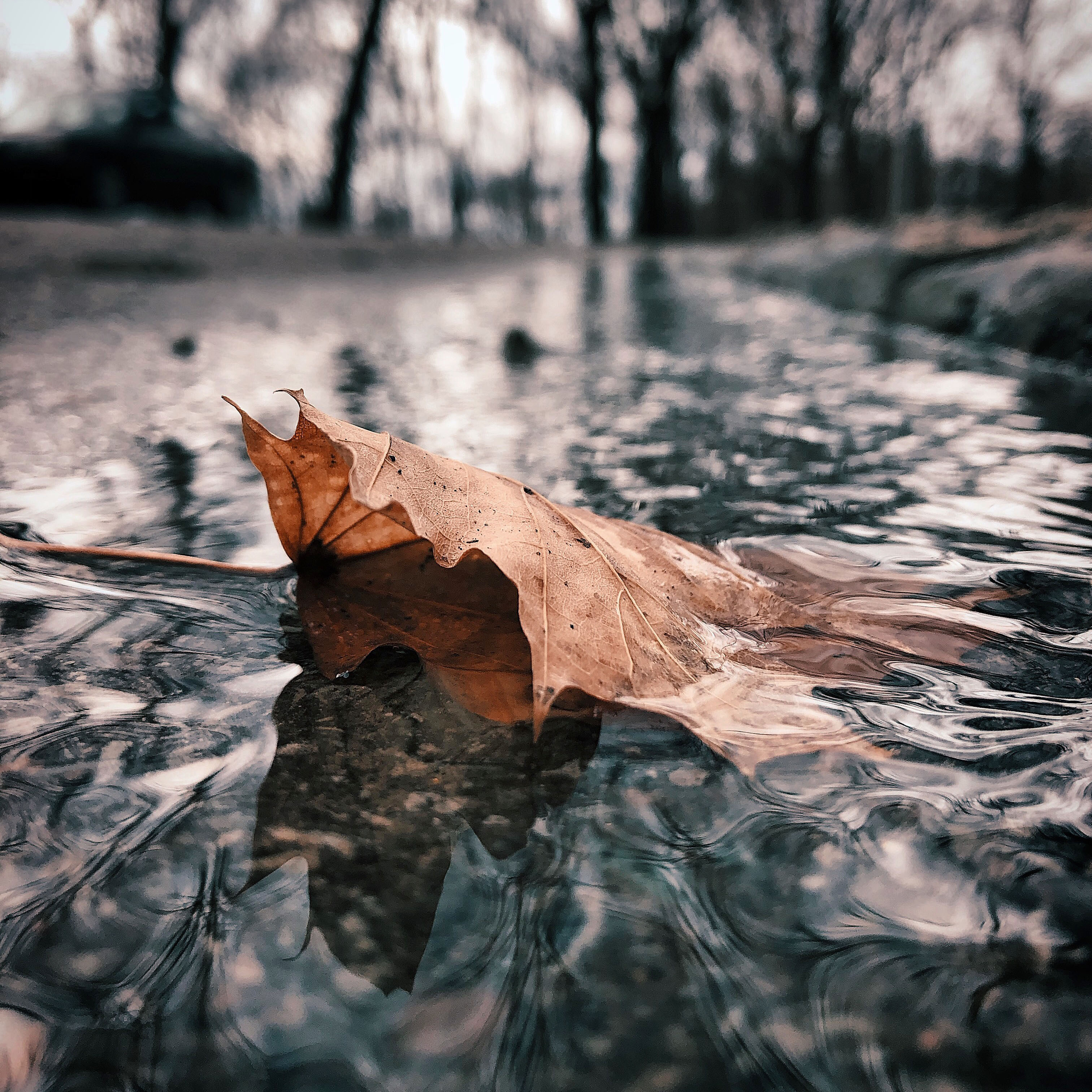Detail Gambar Background Blur Nomer 16