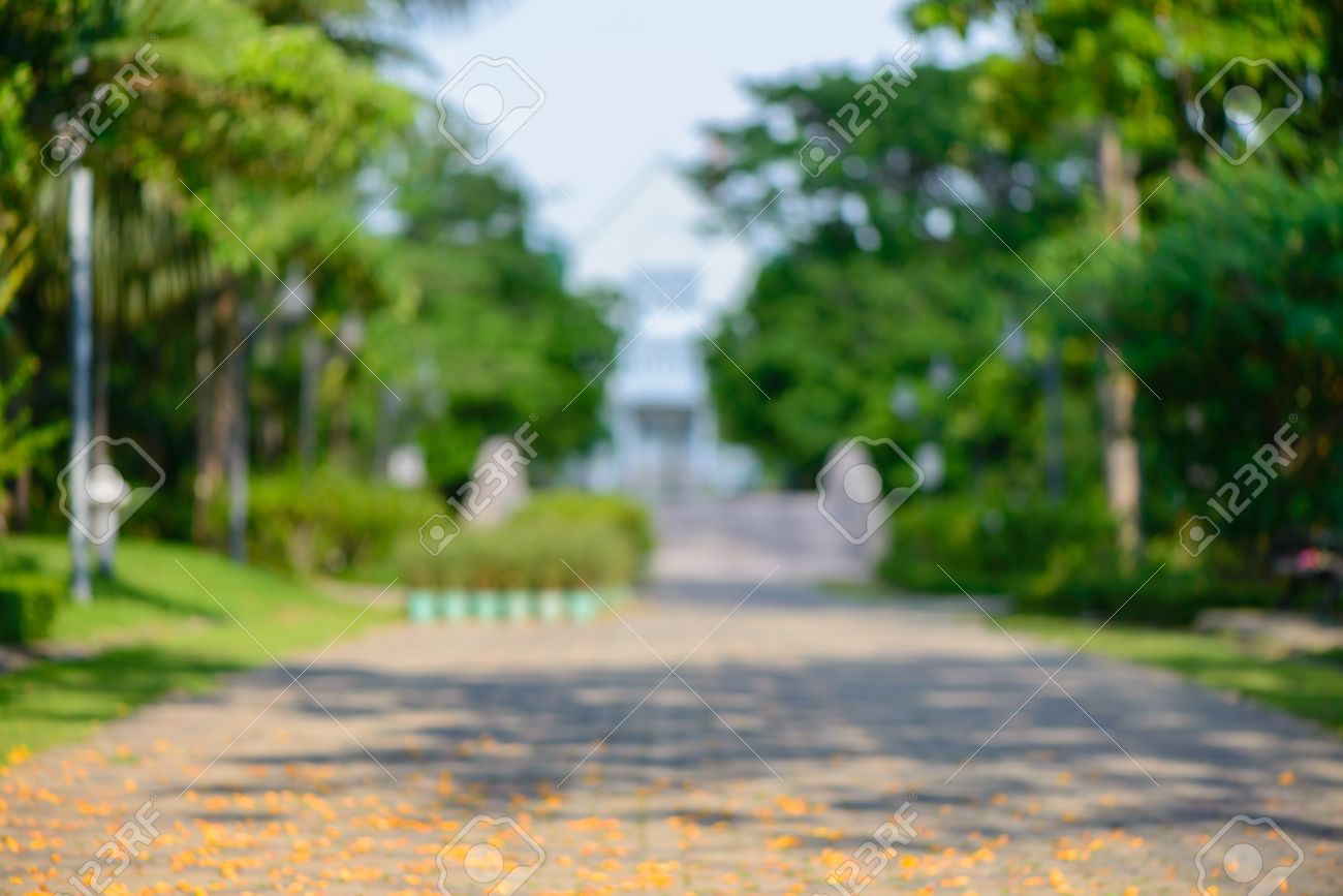 Detail Gambar Background Blur Nomer 22