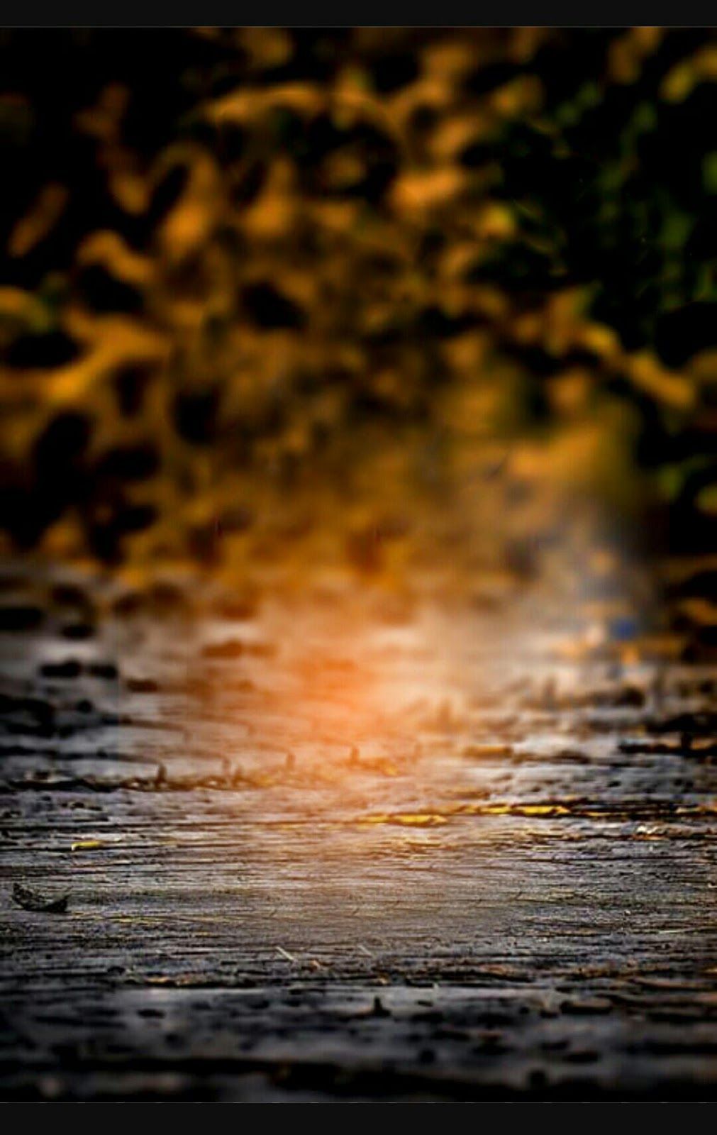 Detail Gambar Background Blur Nomer 23