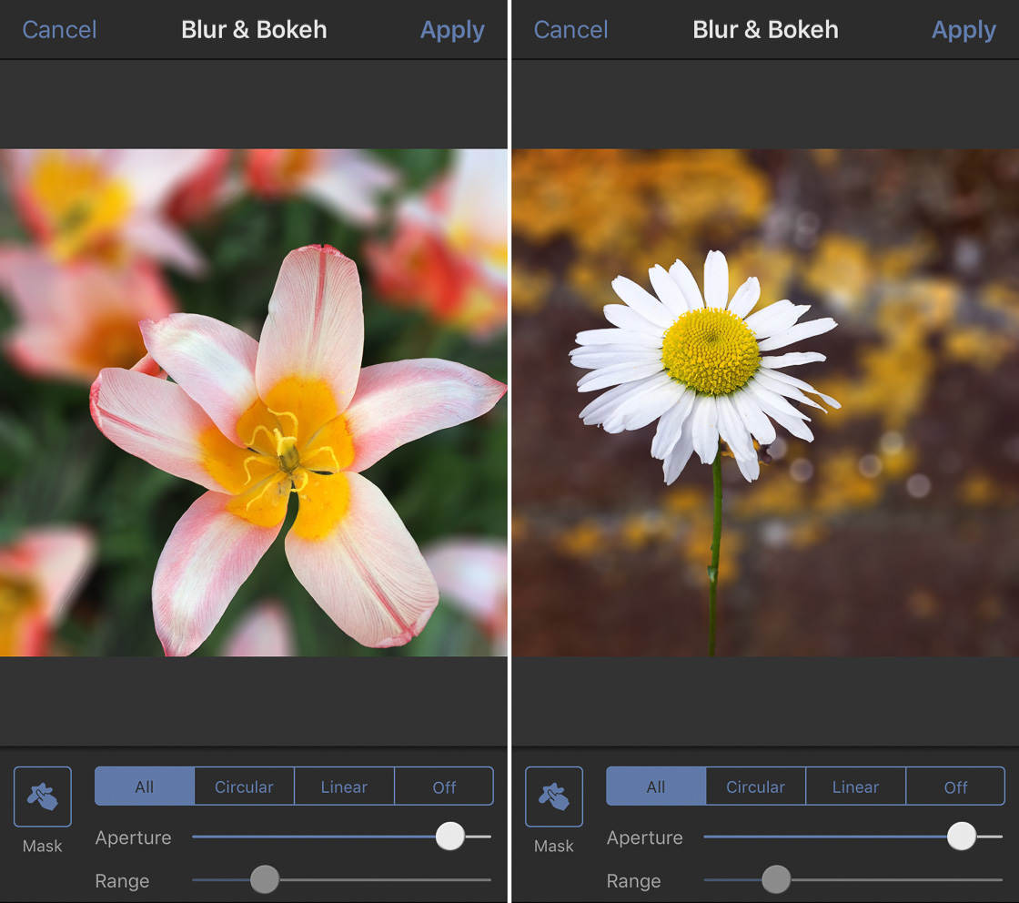 Detail Gambar Background Blur Nomer 37