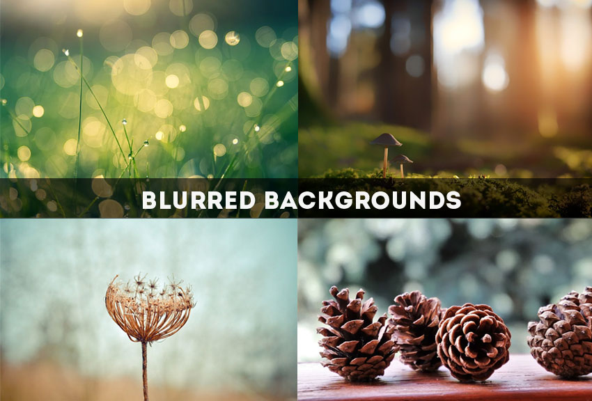 Detail Gambar Background Blur Nomer 38