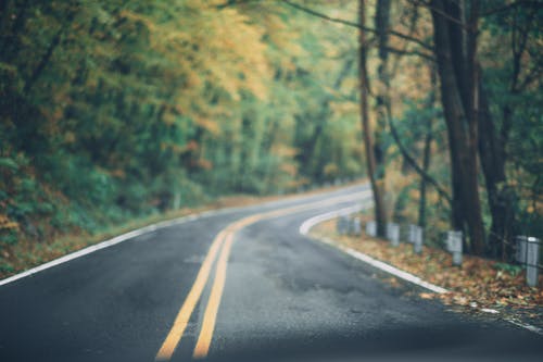 Detail Gambar Background Blur Nomer 52