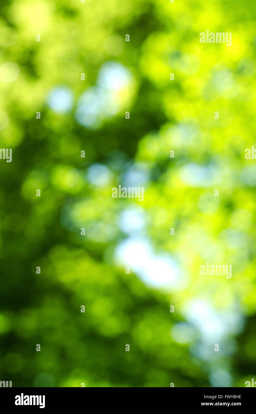 Detail Gambar Background Blur Nomer 55