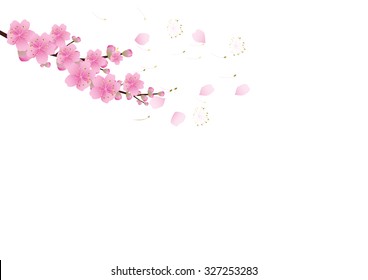 Detail Gambar Background Bunga Sakura Nomer 35