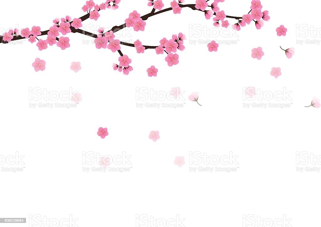 Detail Gambar Background Bunga Sakura Nomer 40