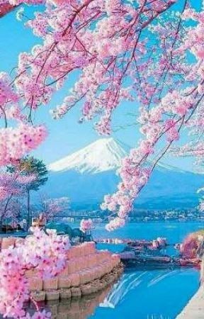 Detail Gambar Background Bunga Sakura Nomer 50