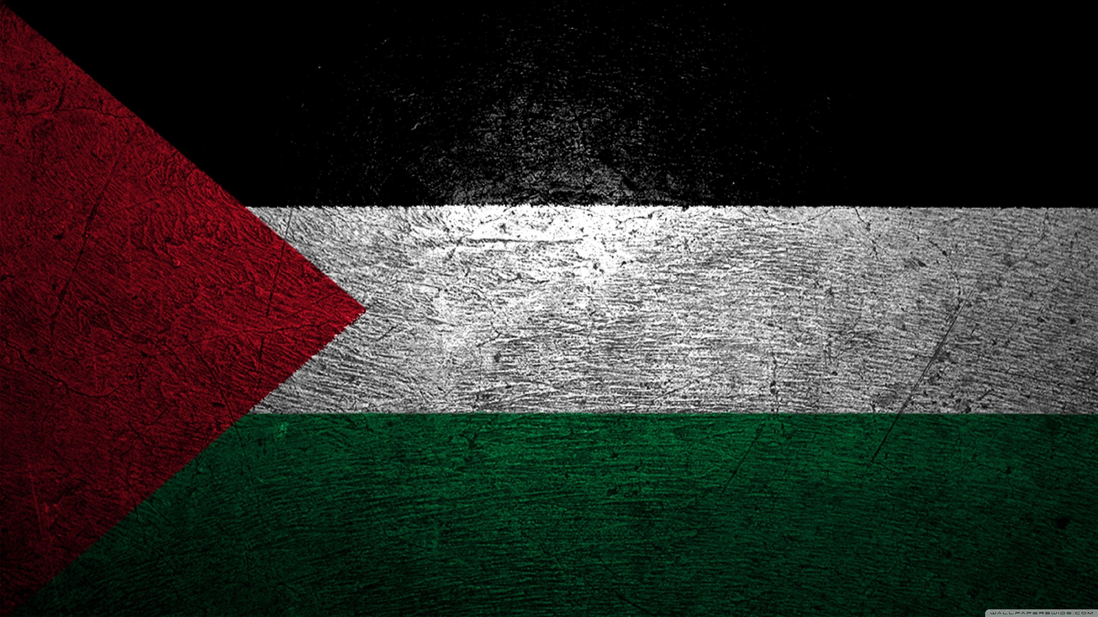 Detail Gambar Background Palestina Nomer 5