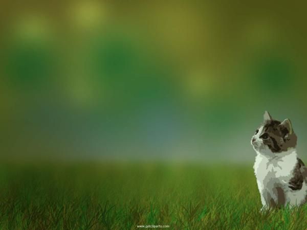 Detail Gambar Background Power Point Bergerak Nomer 37