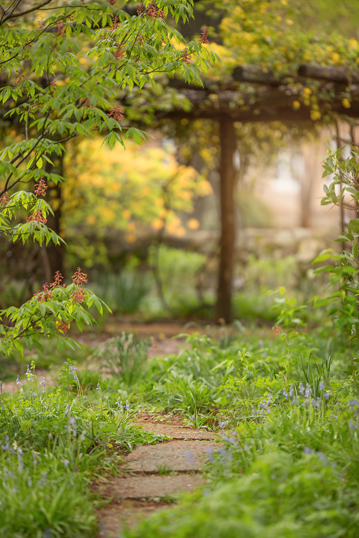 Detail Gambar Background Untuk Photoshop Nomer 27