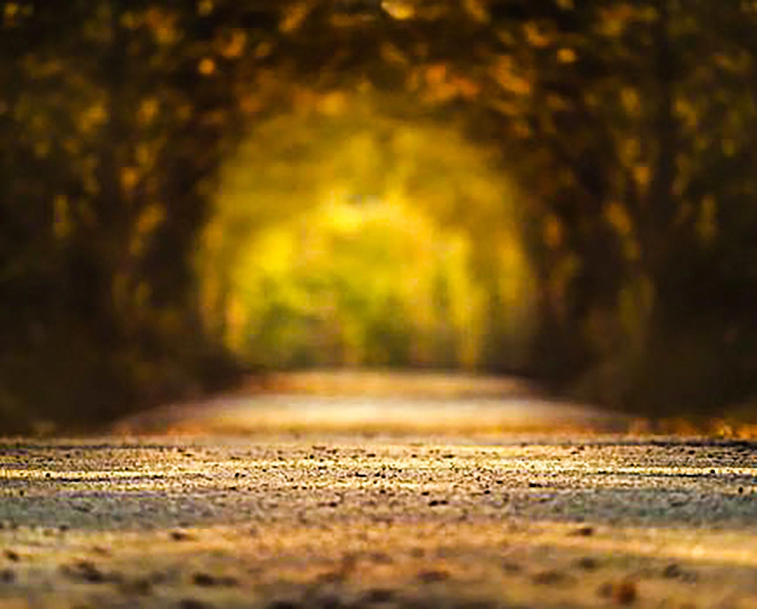 Detail Gambar Background Untuk Photoshop Nomer 31