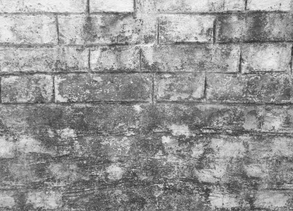 Detail Gambar Background Untuk Photoshop Nomer 41