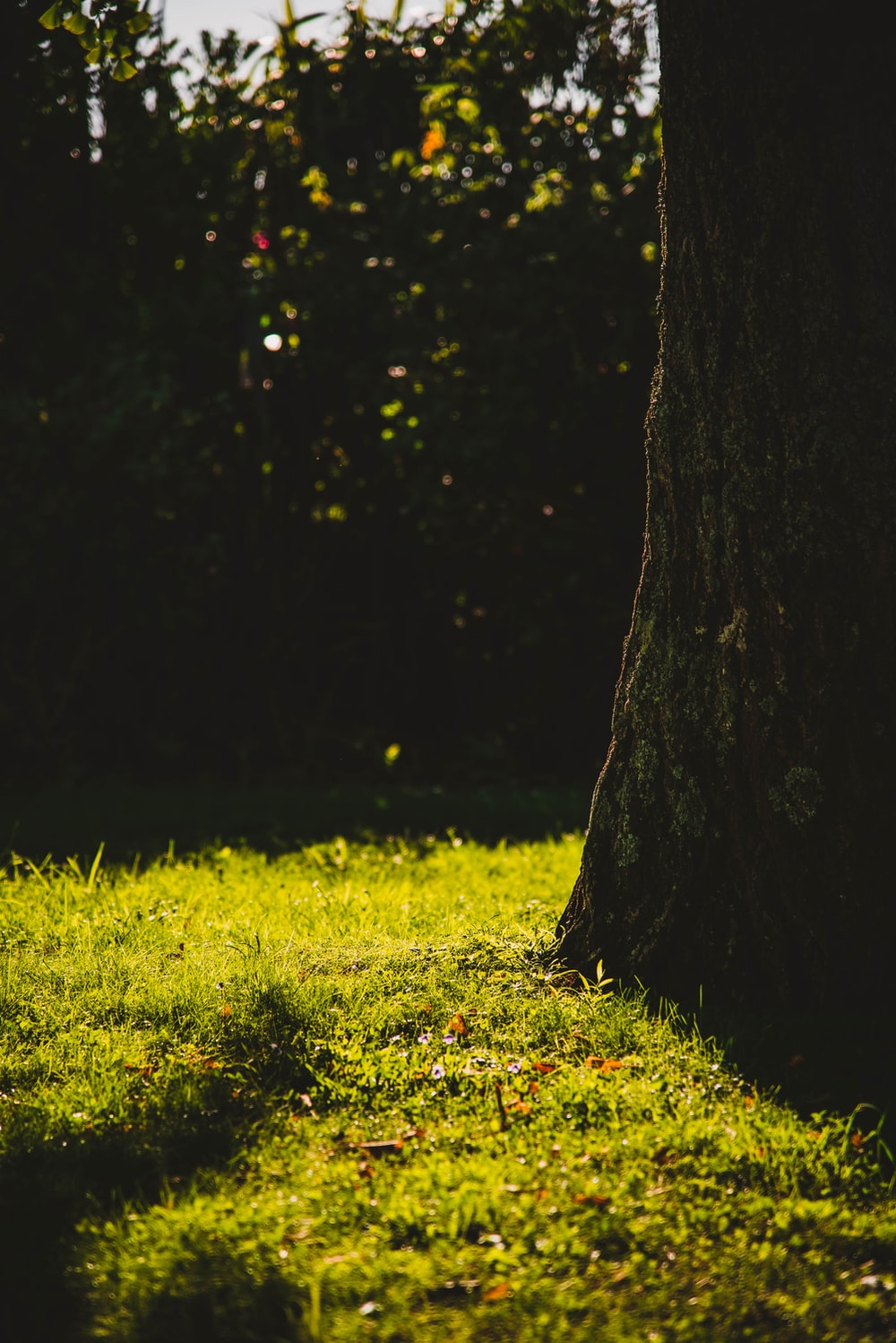 Detail Gambar Background Untuk Photoshop Nomer 10