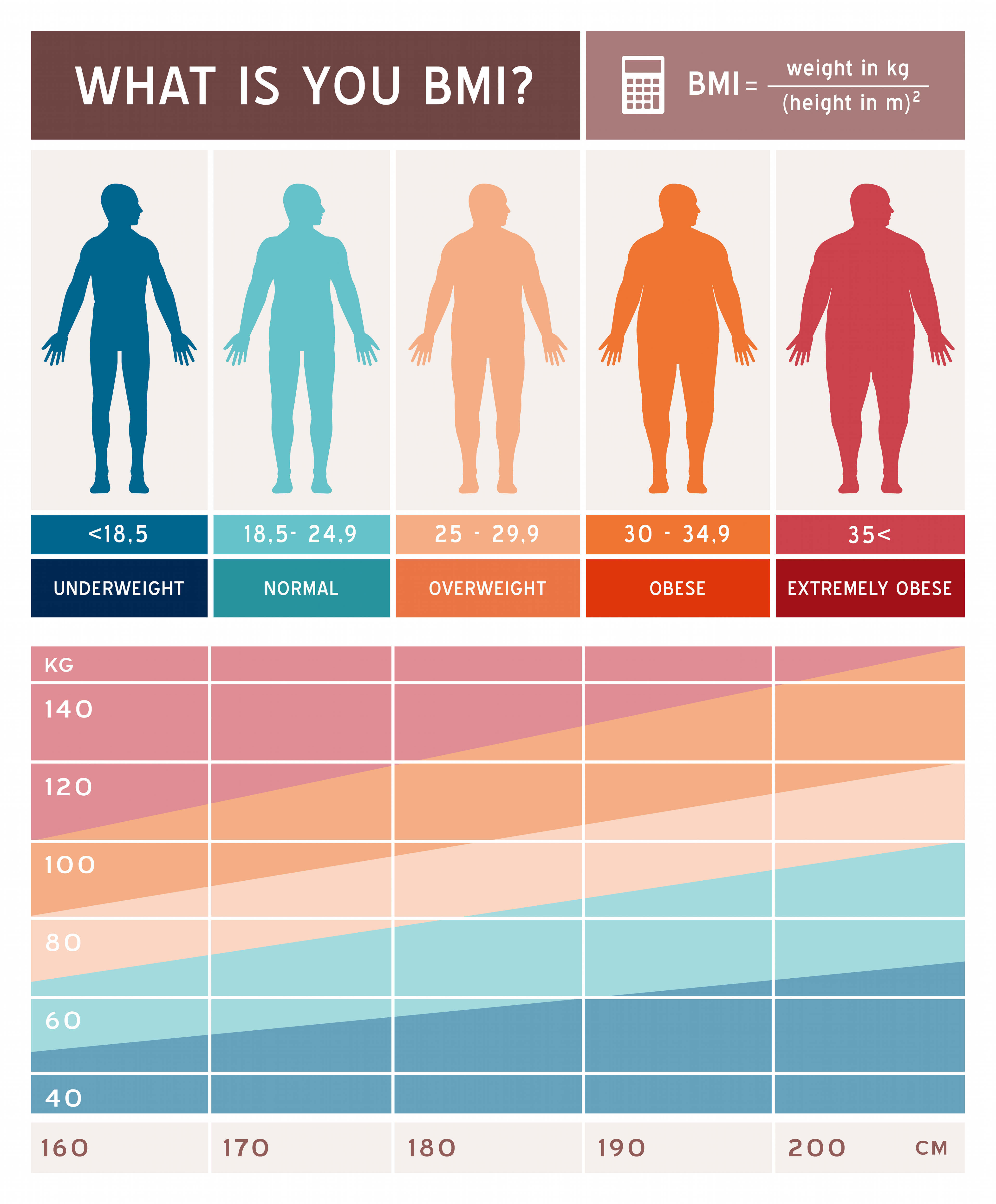 Detail Gambar Badan Ideal Nomer 14