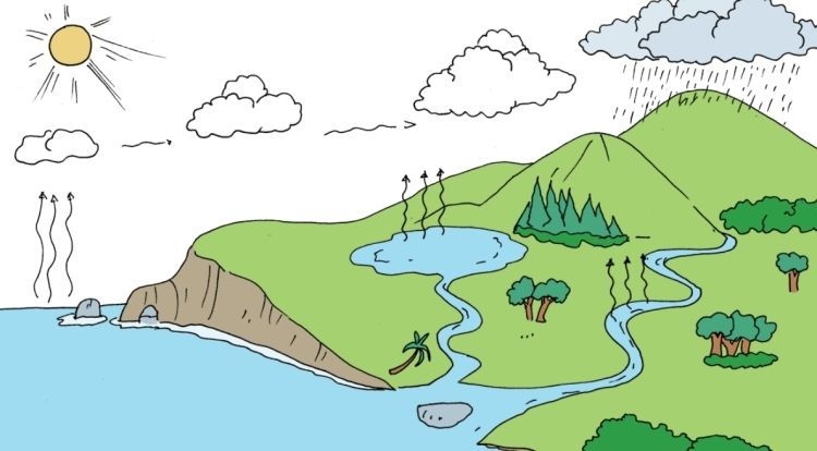 Detail Gambar Bagan Sederhana Tentang Siklus Air Nomer 2