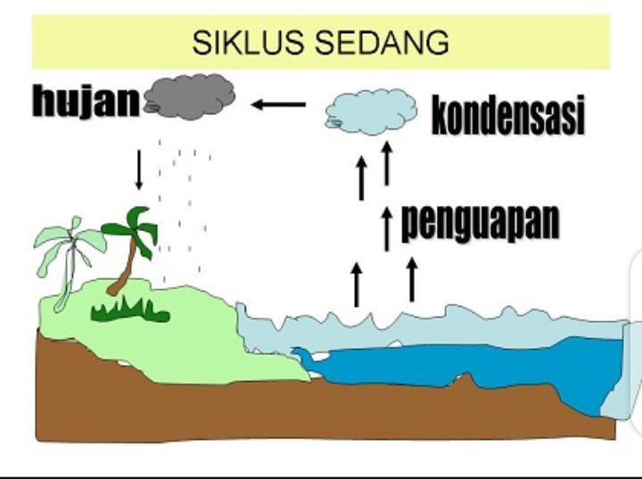 Detail Gambar Bagan Sederhana Tentang Siklus Air Nomer 6