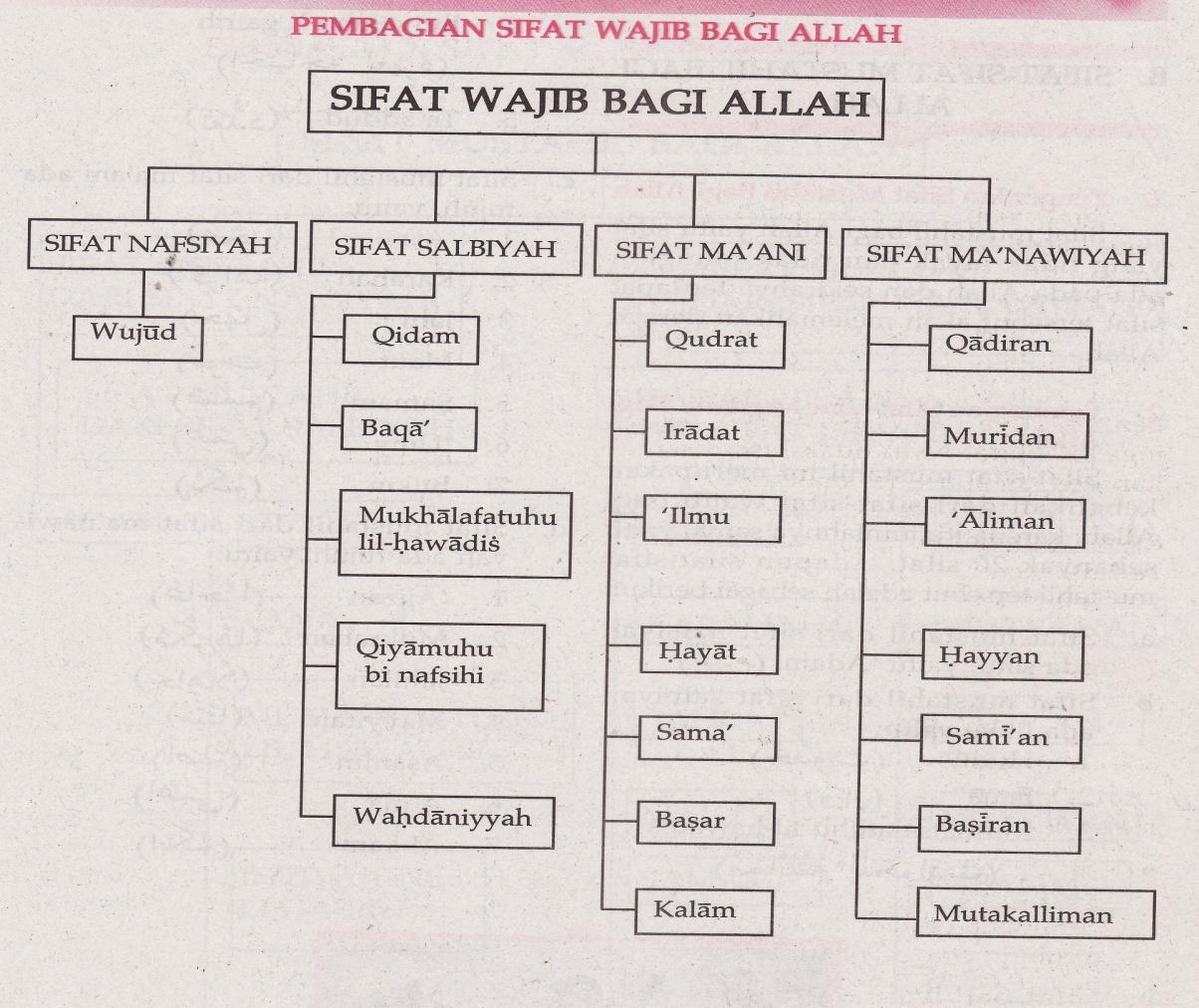 Detail Gambar Bagan Sifat Allah Yang Nawiyah Nomer 3