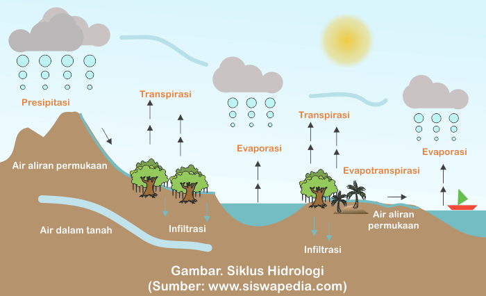 Detail Gambar Bagan Siklus Air Nomer 18