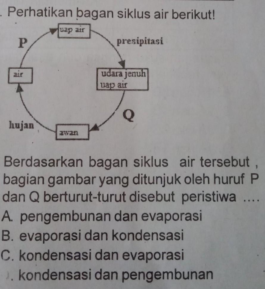 Detail Gambar Bagan Siklus Air Nomer 33