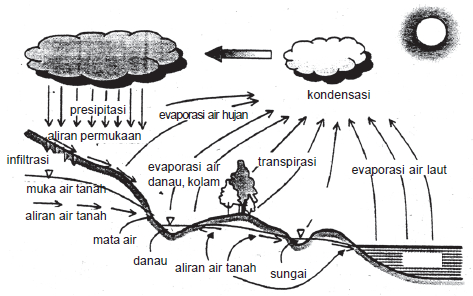 Detail Gambar Bagan Siklus Air Nomer 45