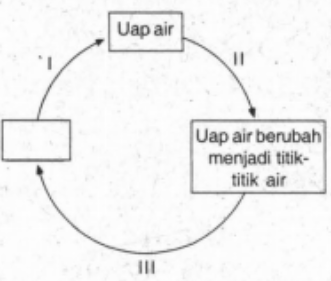 Detail Gambar Bagan Siklus Air Nomer 54