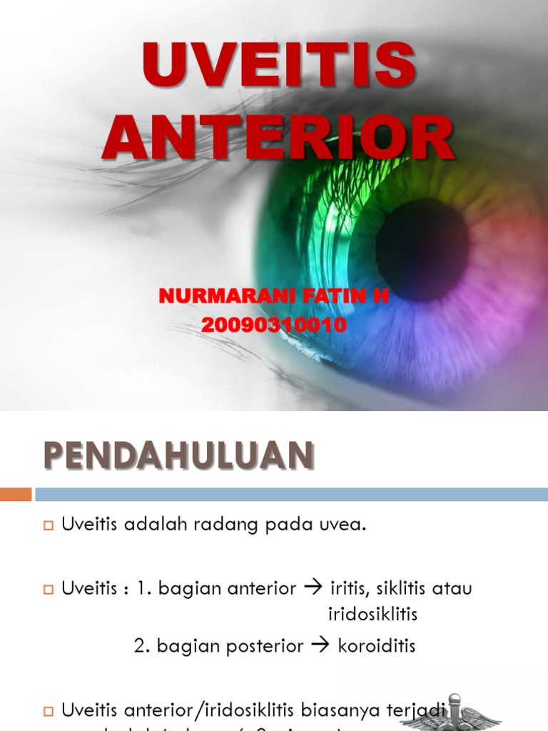 Detail Gambar Bagian Anterior Dan Posterior Nomer 33