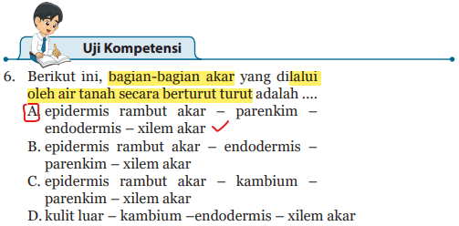 Detail Gambar Bagian Bagian Akar Nomer 26