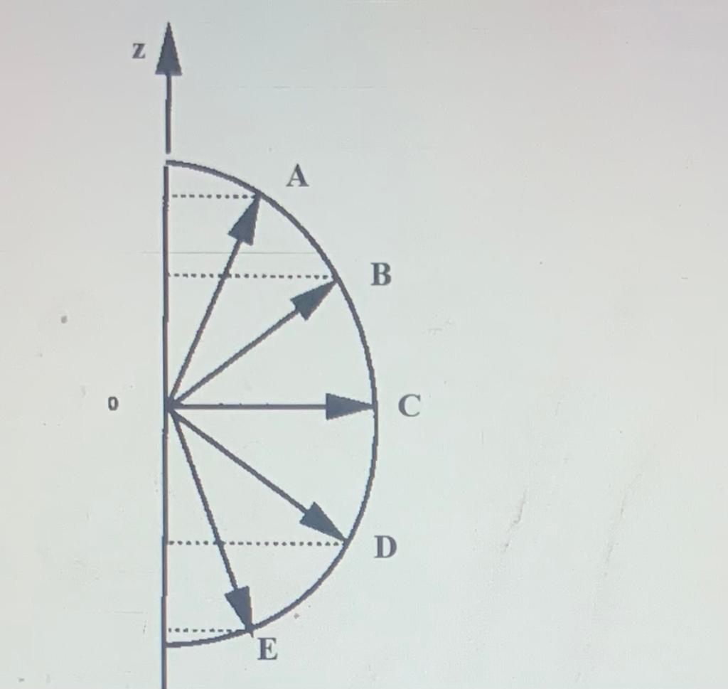 Detail Gambar Bagian Bagian Atom Nomer 41