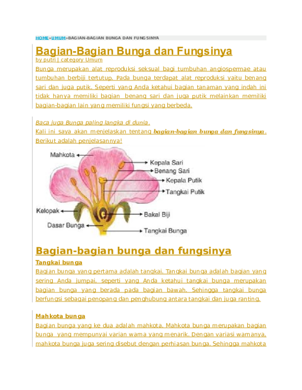 Detail Gambar Bagian Bagian Bunga Dan Fungsinya Nomer 18