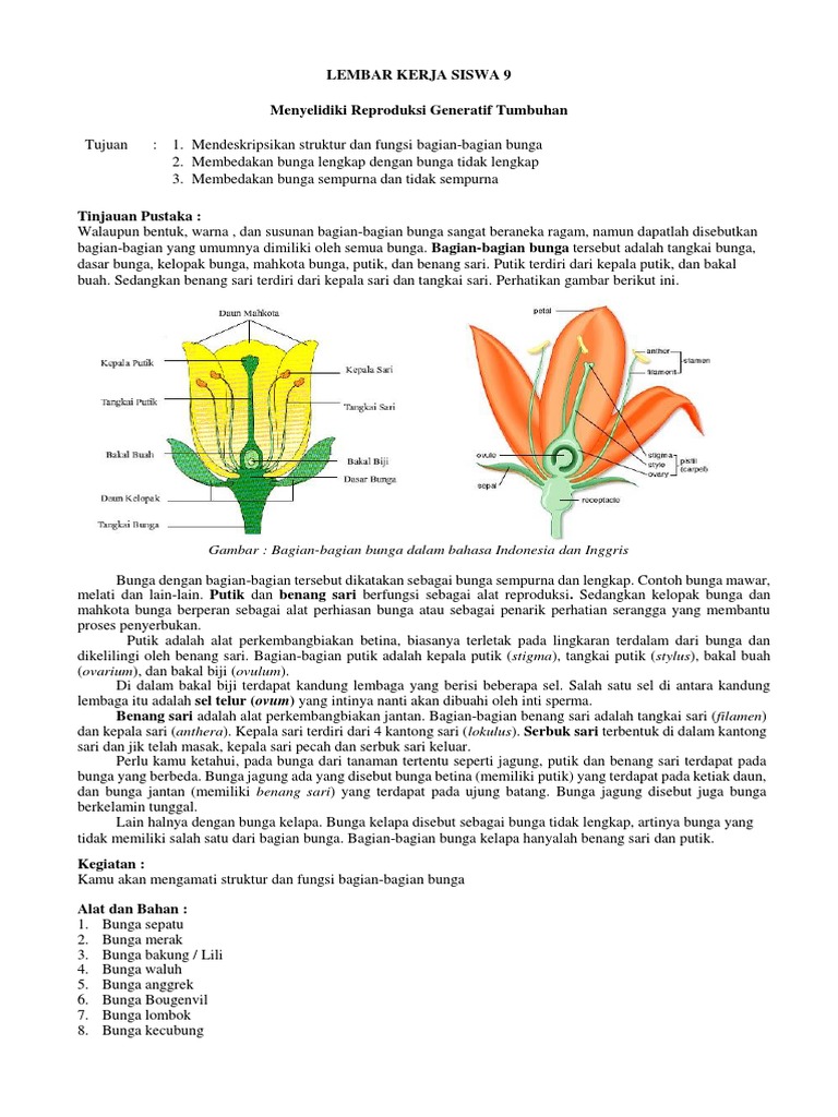 Detail Gambar Bagian Bagian Bunga Lengkap Nomer 24