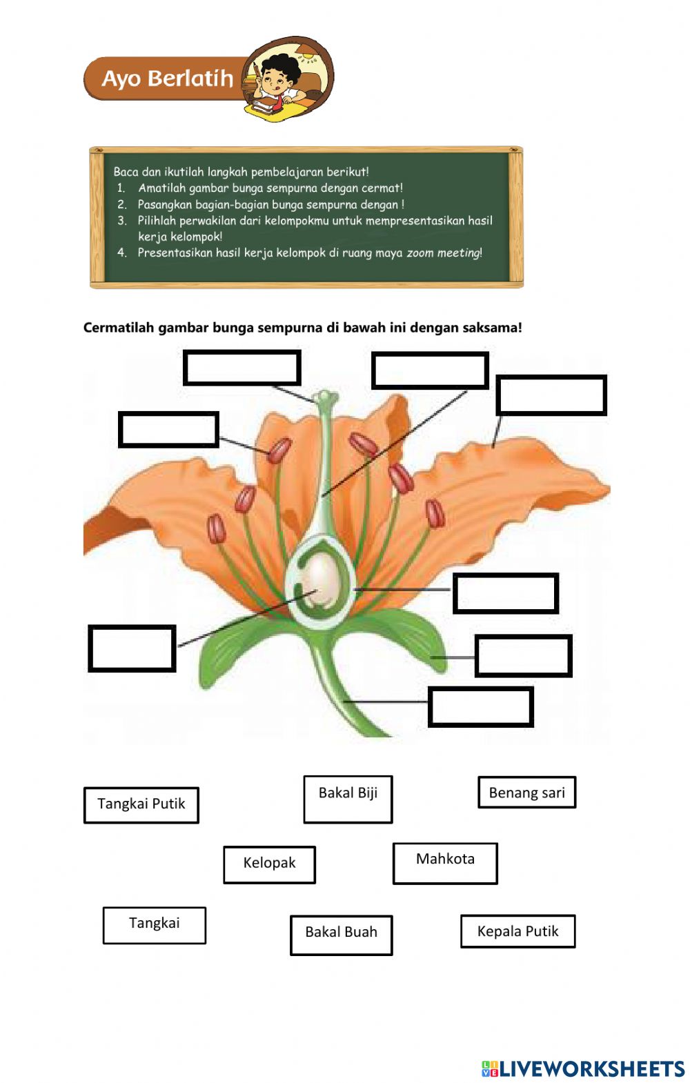 Detail Gambar Bagian Bagian Bunga Sempurna Nomer 22