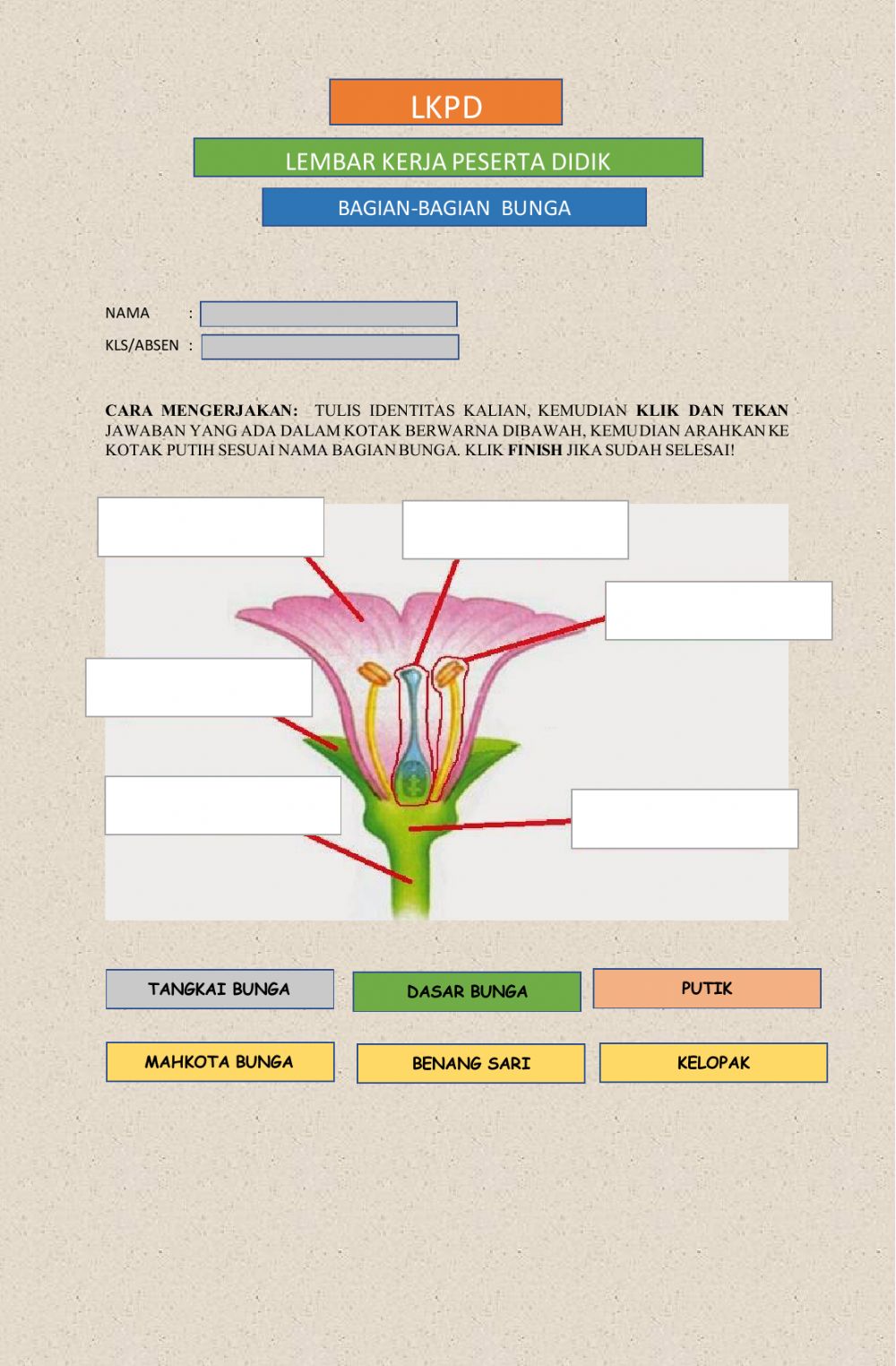 Detail Gambar Bagian Bagian Dari Bunga Nomer 30