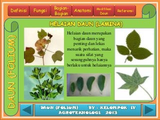 Detail Gambar Bagian Bagian Daun Nomer 33