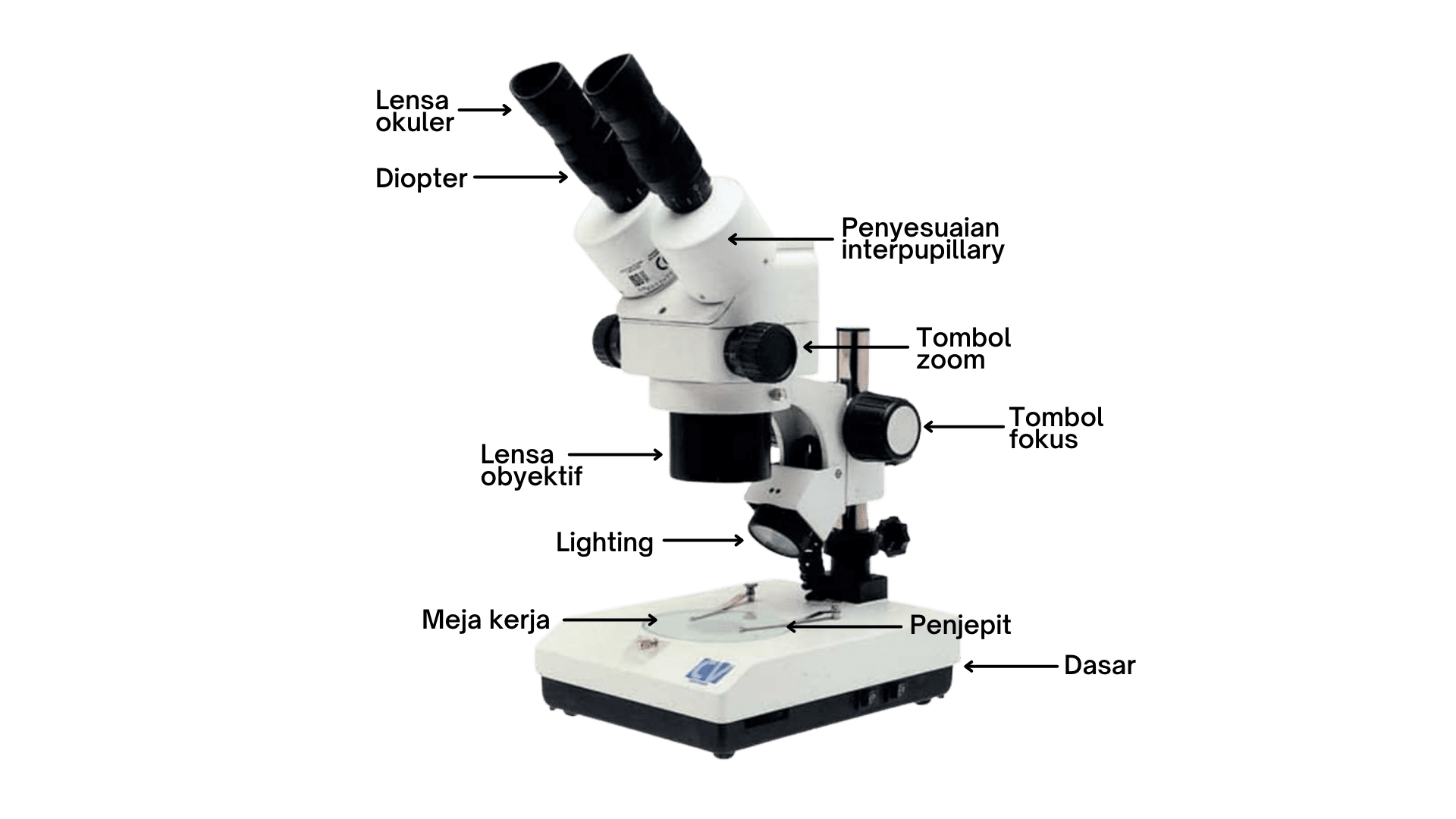 Detail Gambar Bagian Bagian Mikroskop Nomer 26