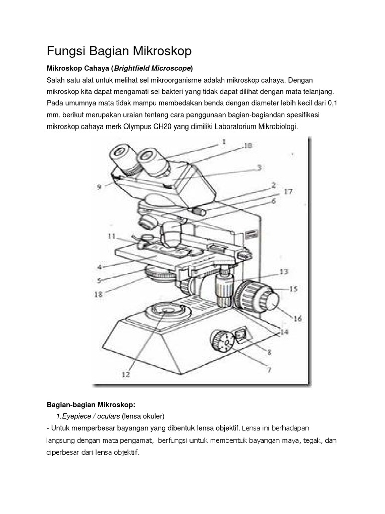 Detail Gambar Bagian Bagian Mikroskop Nomer 44