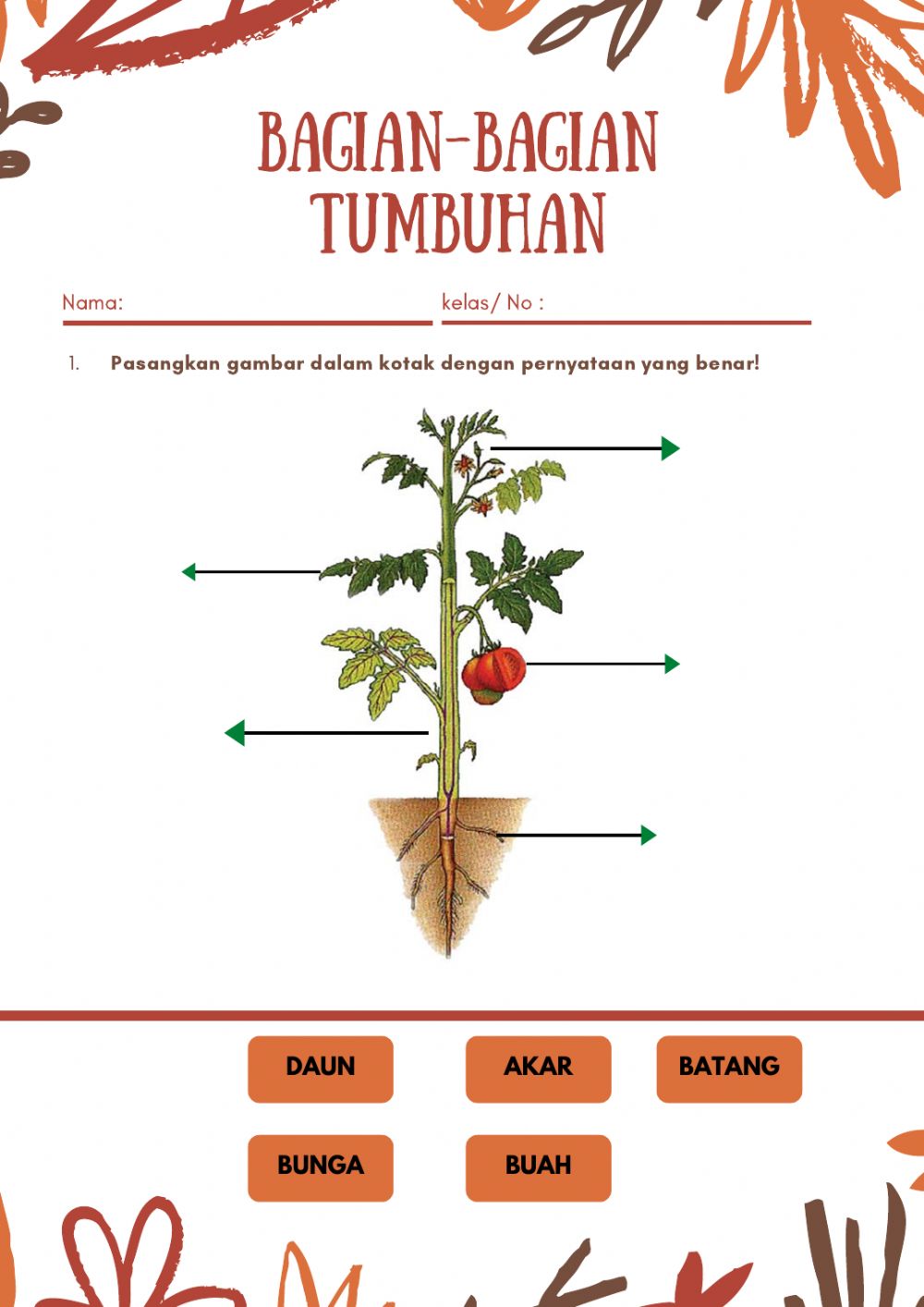 Detail Gambar Bagian Bagian Tanaman Nomer 2