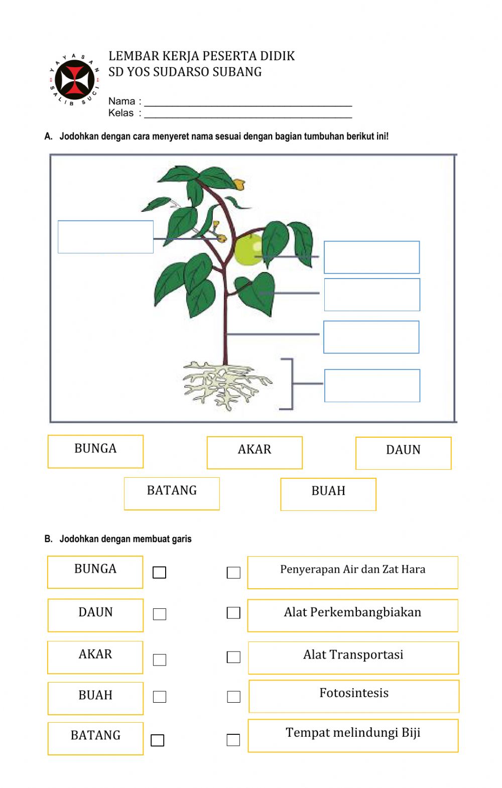 Detail Gambar Bagian Bagian Tanaman Nomer 29