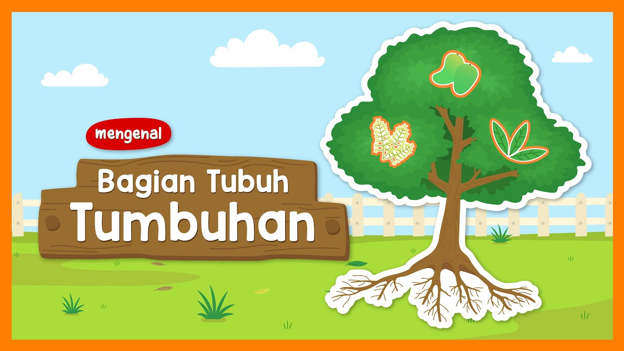 Detail Gambar Bagian Bagian Tanaman Koleksi Nomer 57 Detail Gambar Bagian Bagian Tanaman Koleksi Nomer 57