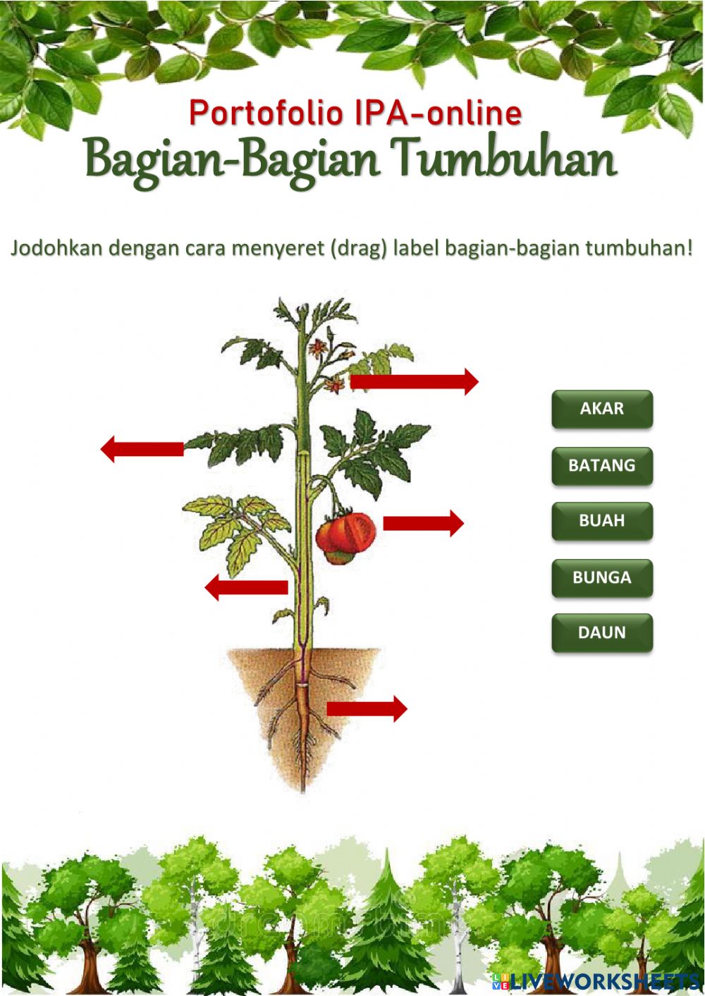 Detail Gambar Bagian Bagian Tanaman Nomer 9